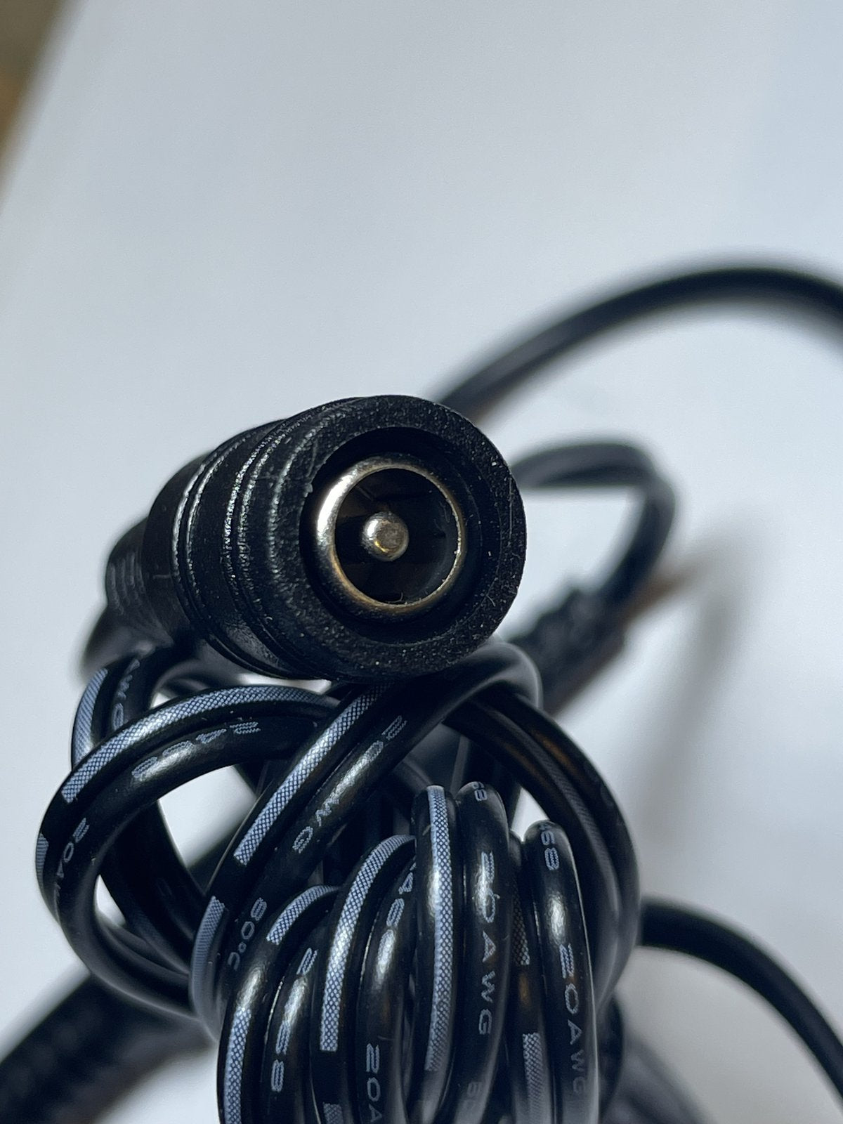 30V Adaptor 4 Canadian Blue Green Spruce Tree with Candlelight Clear LED lights